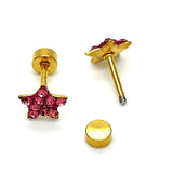 Stainless Steel Stud Earring, Star Design, with Pink Crystal, Polished, Golden Finish